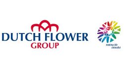 Dutch Flower Group Dutch Flower Group